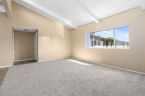 an empty living room with carpet and a large window